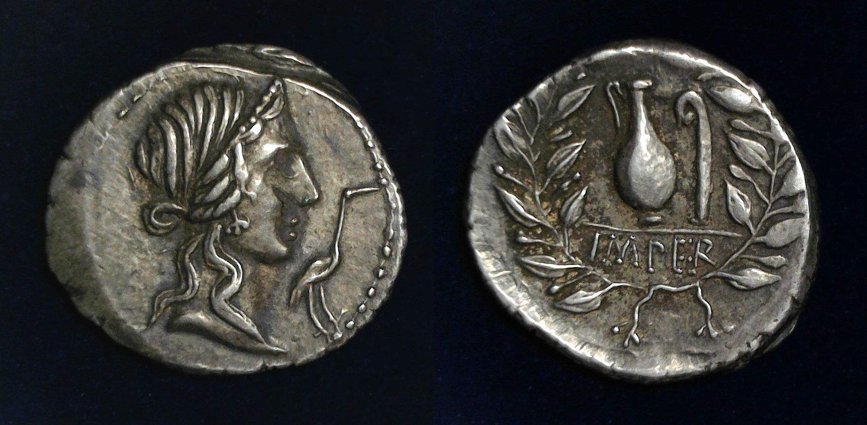 Q Caecillius Metellus Blu.jpg