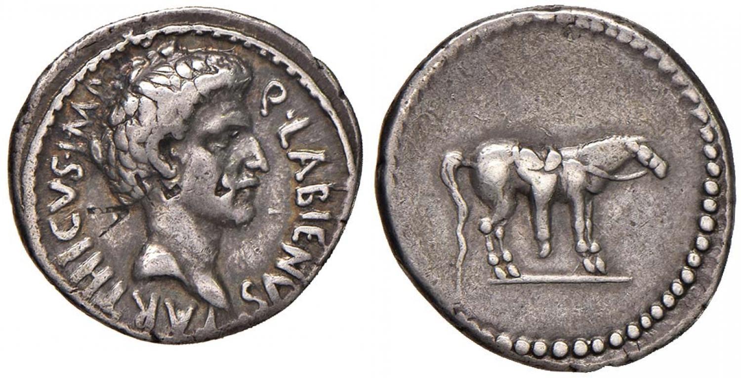 Q Labienus Parthicus 524-2 Nomisma 2018.jpg