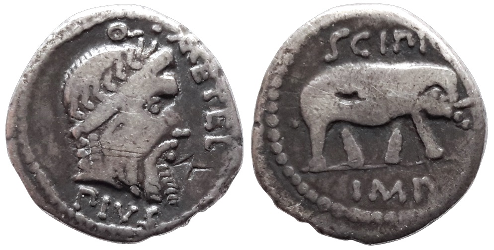 Q Metel Pius Scipio Africanus Denarius (BeMoEd).jpg