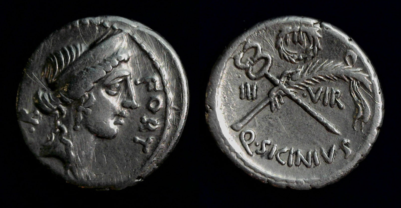 Q. Sicinius denarius.jpg
