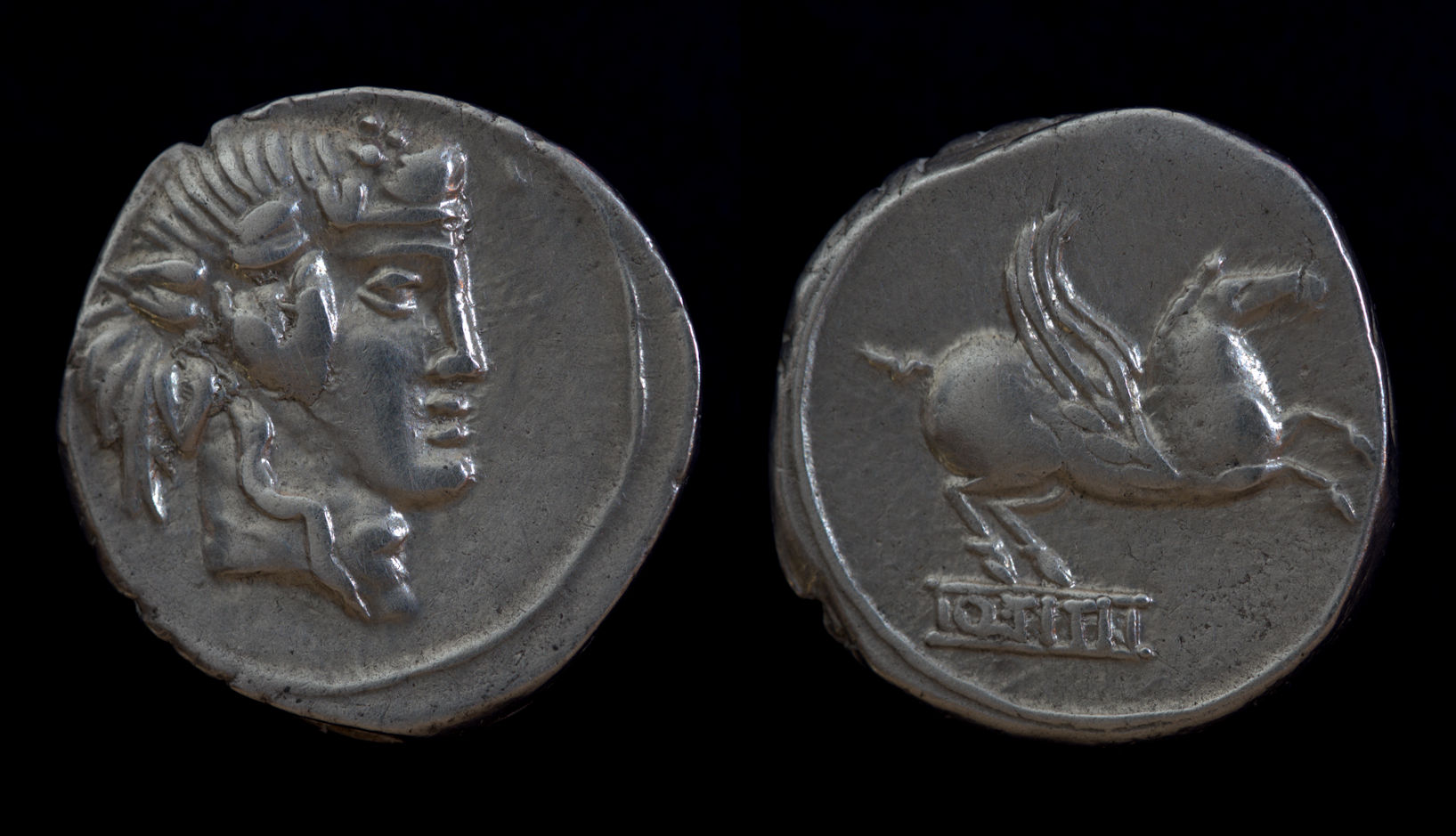 Q Titi Denarius.jpg