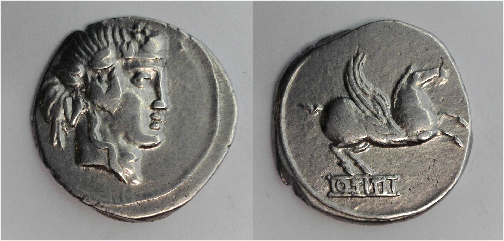 Q Titius denarius.jpg