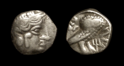 qatowl500.jpg
