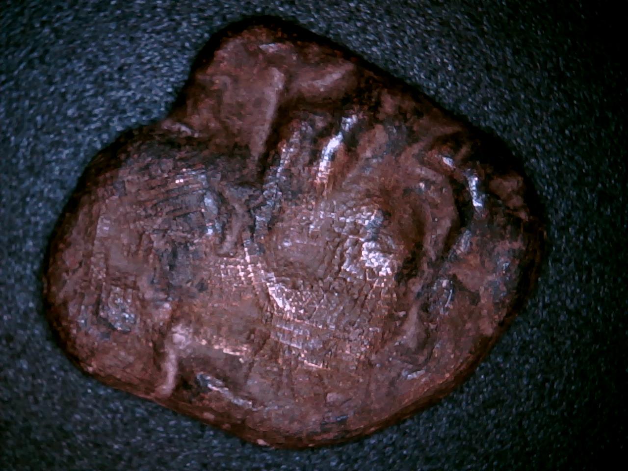 QS1441PJ3.JPG