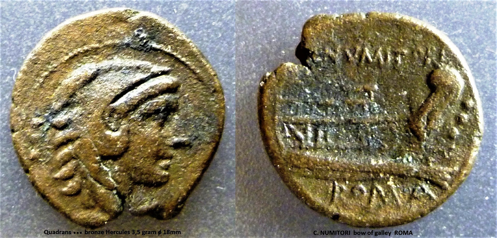 Quadrans C.NUMITORI.JPG