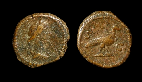 quadrans500.jpg