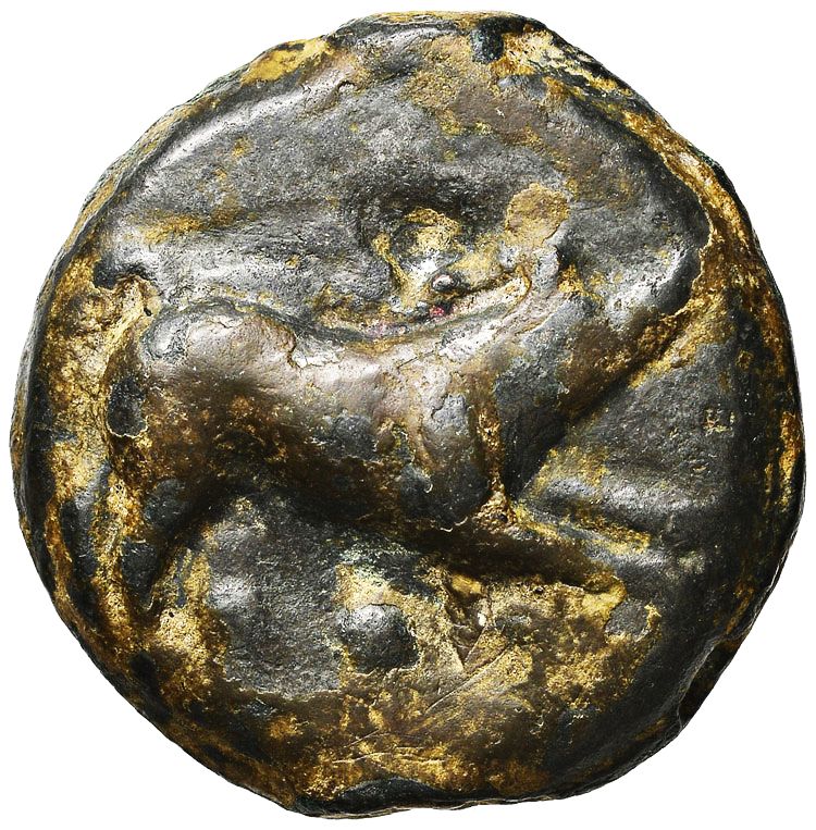 quadrante cinghiale O.jpg