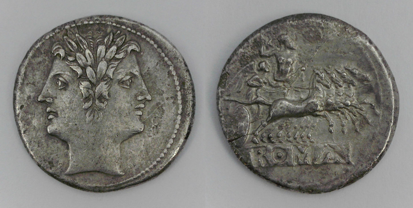 quadrigatus2.jpg