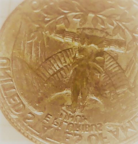 quartererror (2).jpg