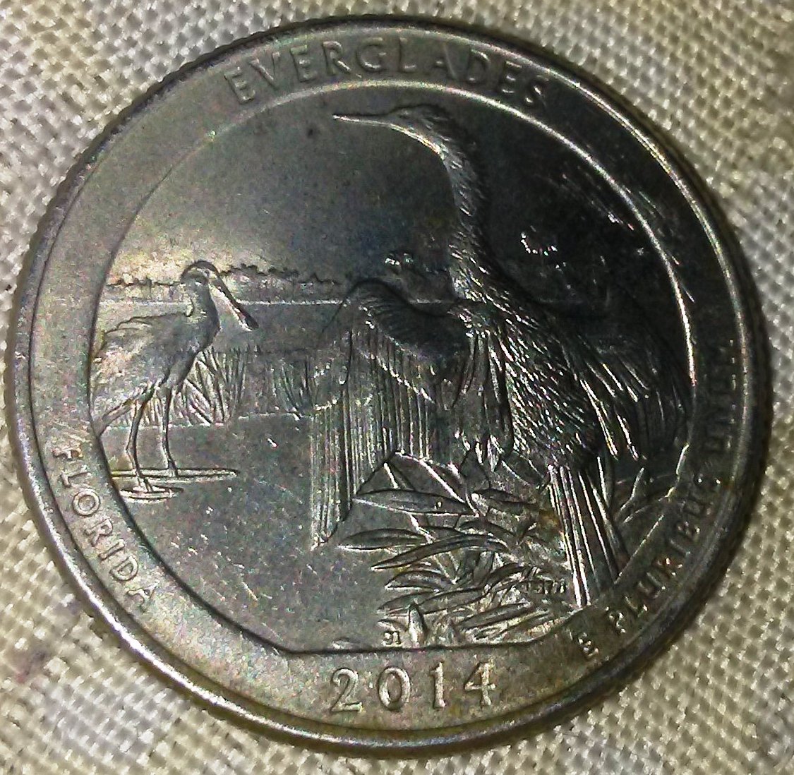 QuarterReverse.jpg