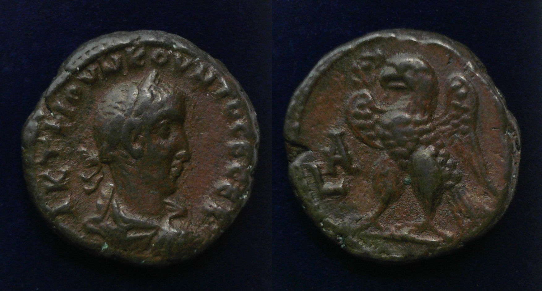 Quietus Alexandria.jpg
