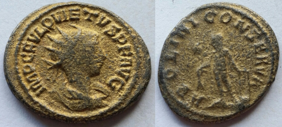 Quietus apolini conserva.jpg