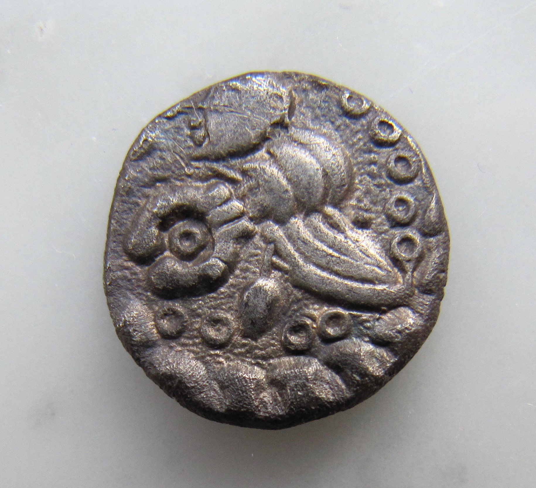 Quinar Vogelmännchen REV-besser - 1.jpg