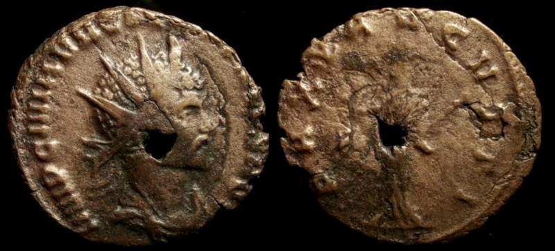 Quintillus 1.jpg