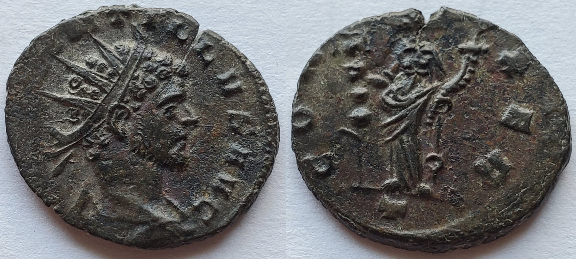 Quintillus CONCORDIA EXER.jpg