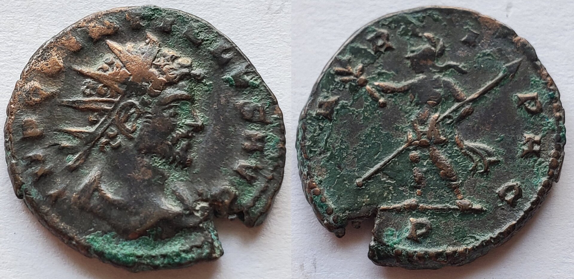 Quintillus MARTI PAC.jpg