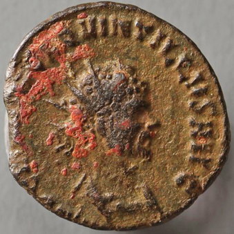 Quintillus339O.jpg