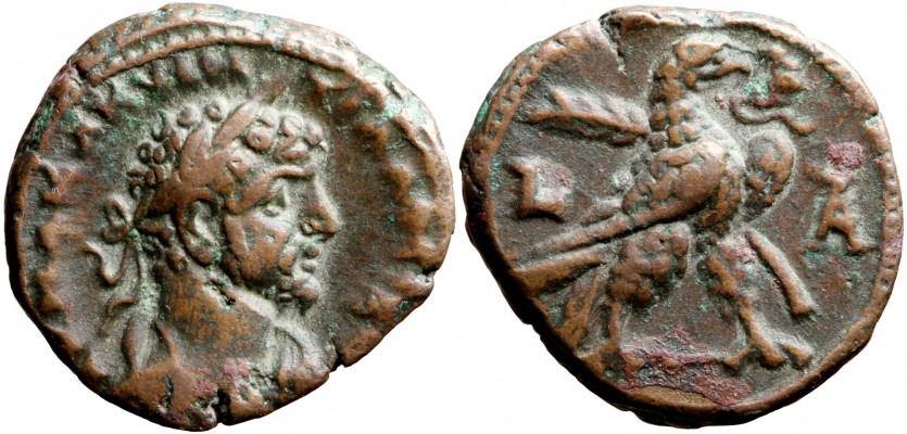 Quintillus_01.jpg