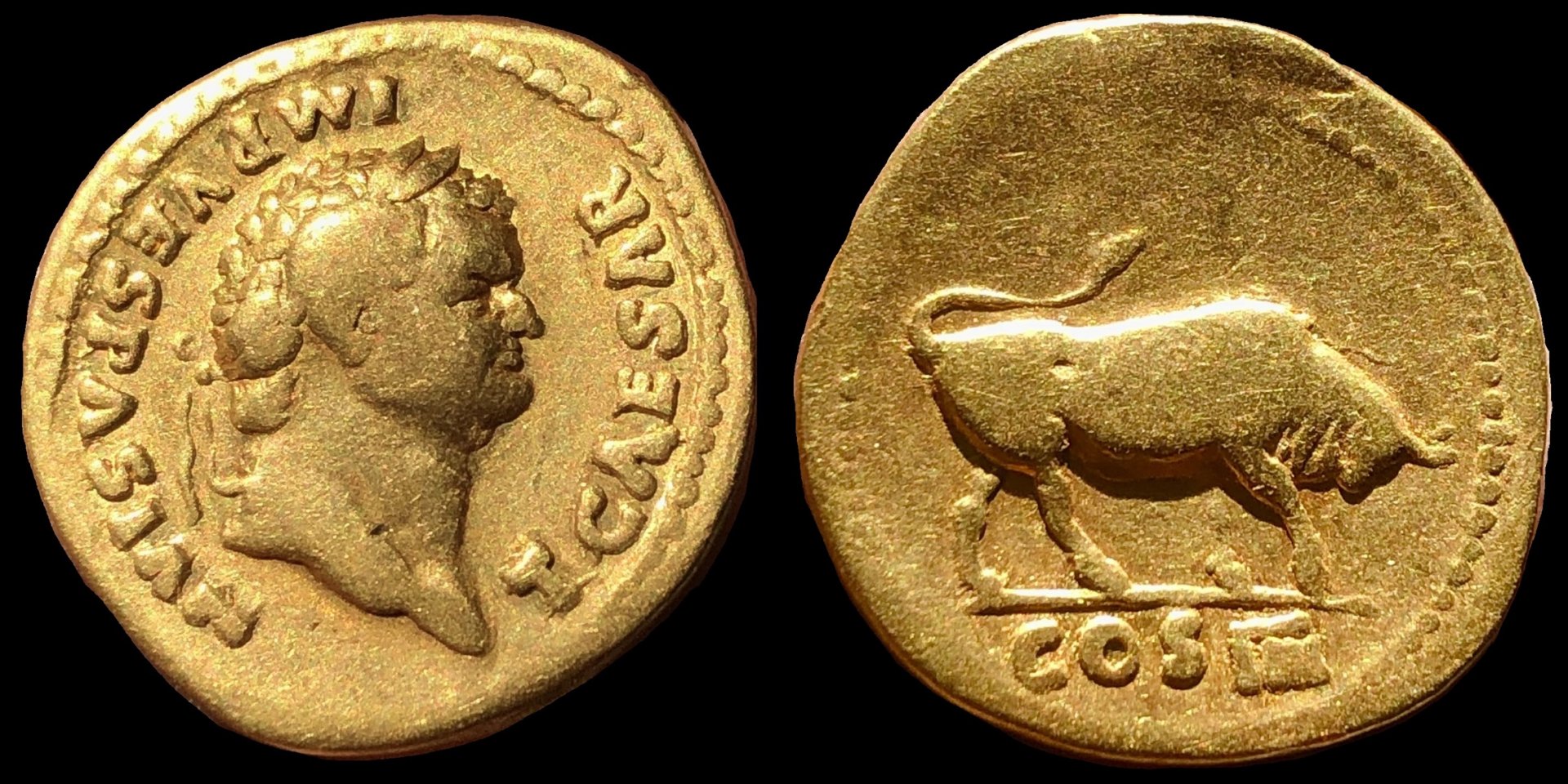 R Aureus.jpg