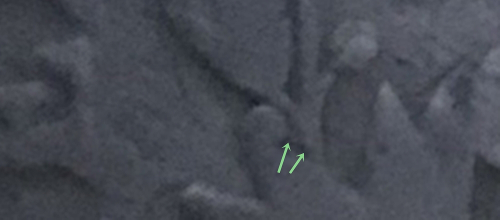 R3.jpg