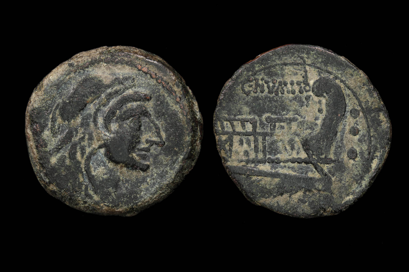 ra0445fd3374.jpg