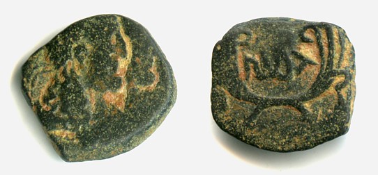 Rabbel-Gamilat 4.jpg
