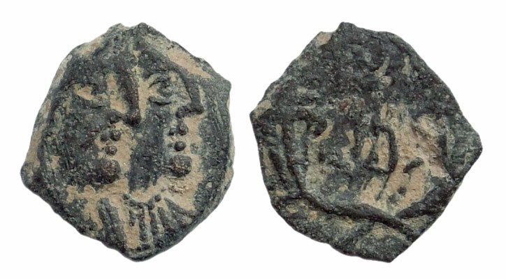 rabbelii.jpg