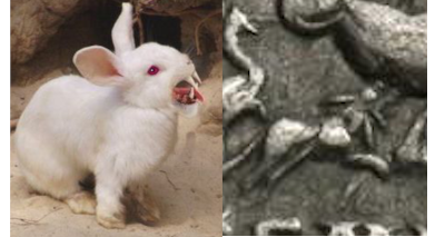 Rabbit.png