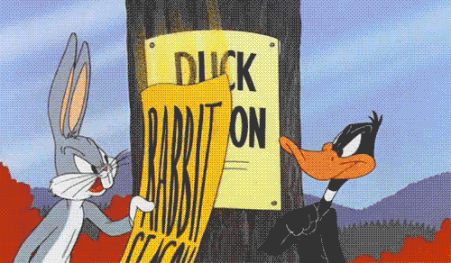 rabbit season.gif