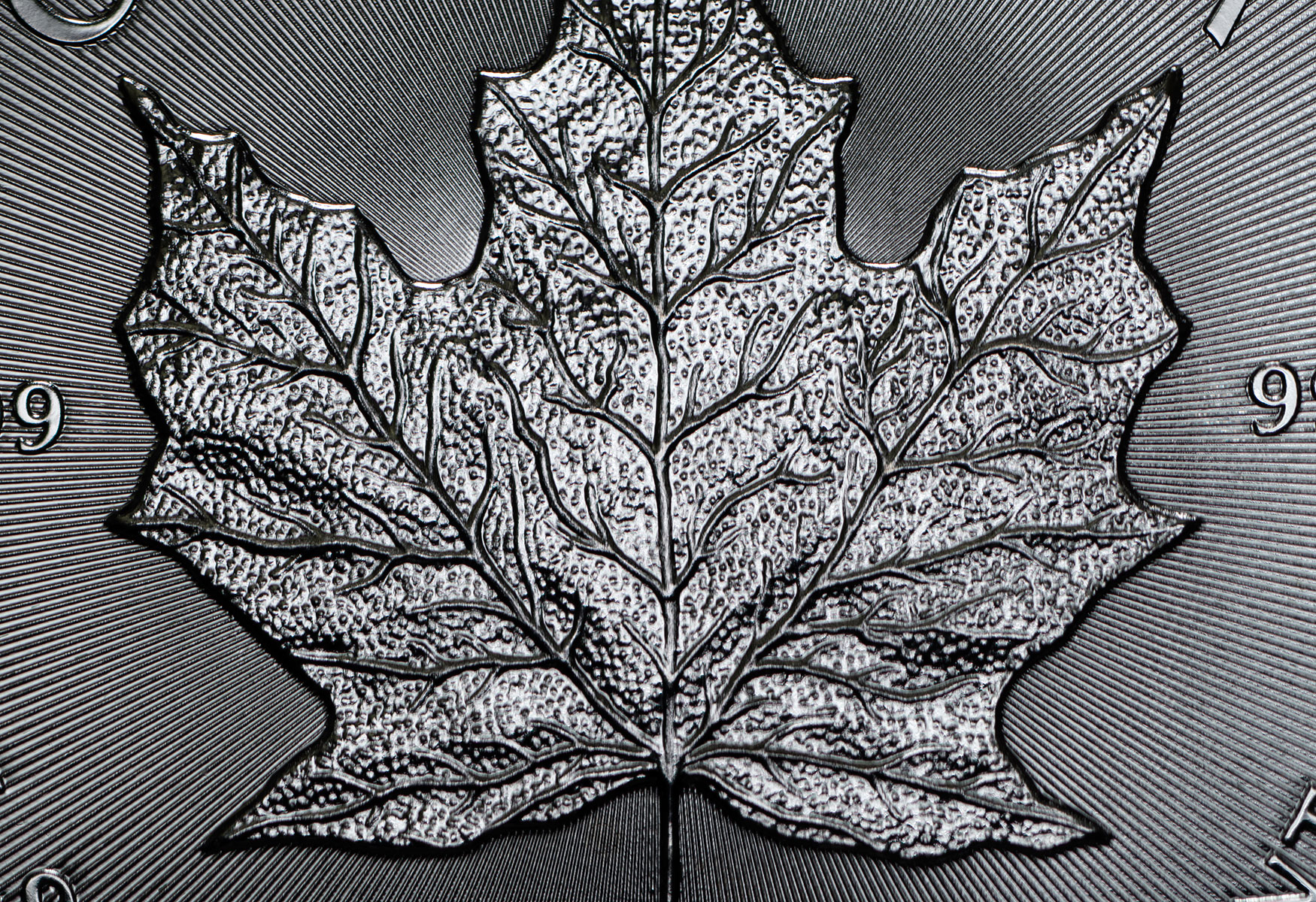 Radial-Maple-2-small.jpg