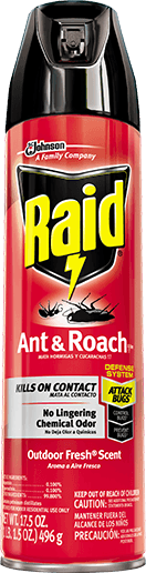 raid.png