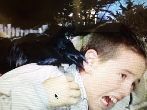 raven bite.jpg