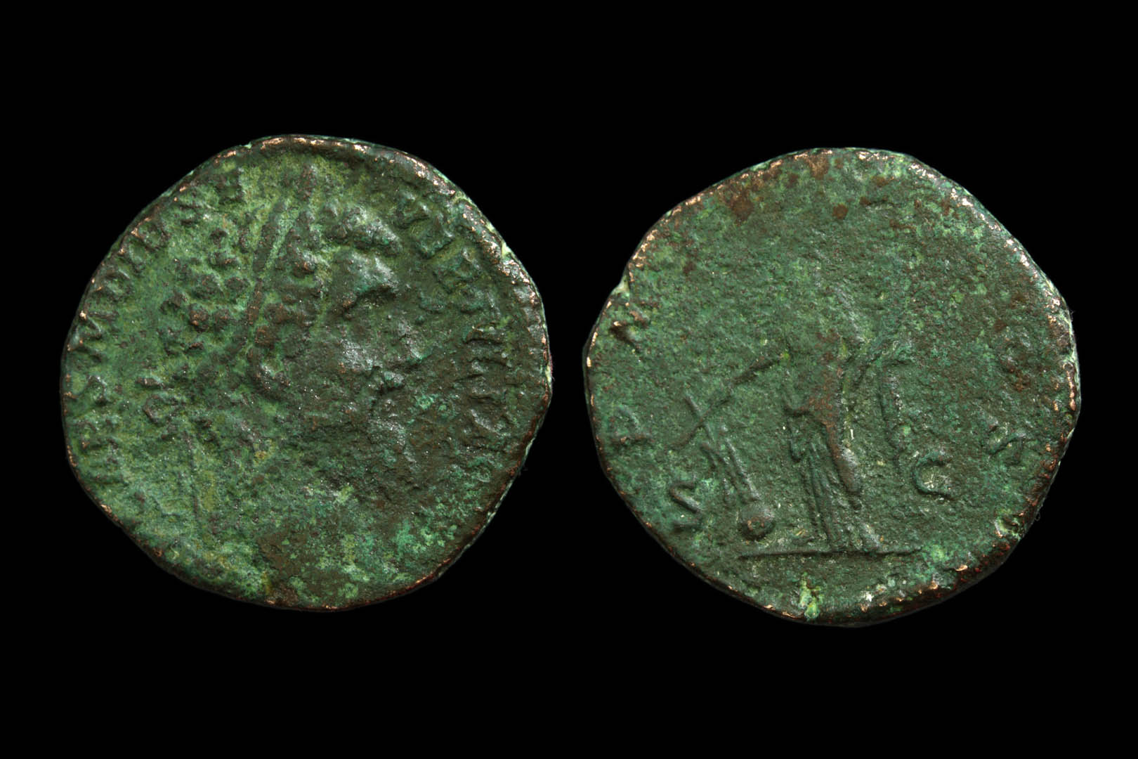 rd0042fd3304.jpg