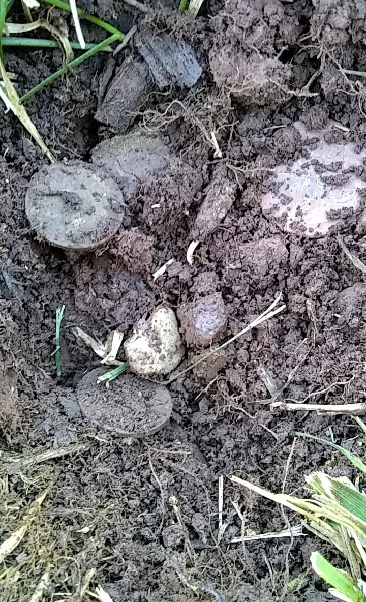 received_139600510253908.jpeg