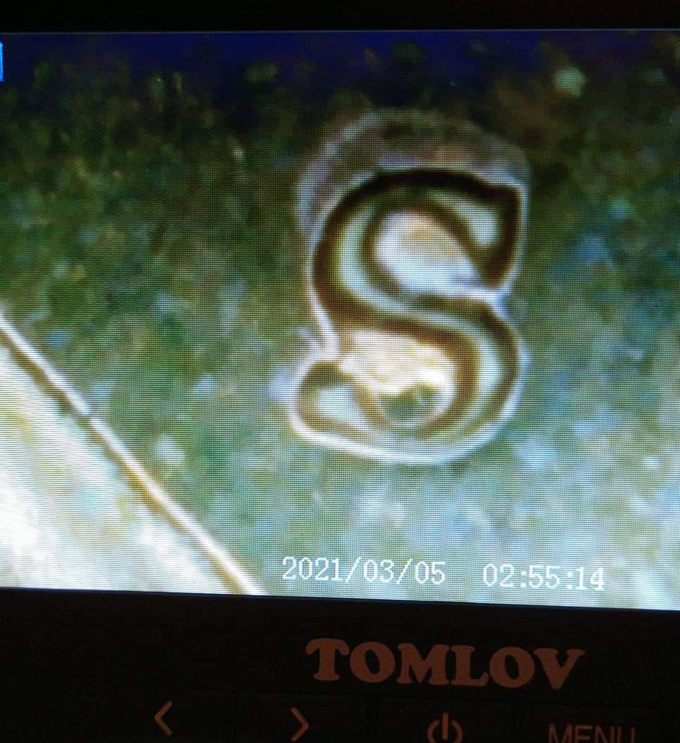 received_1605638256475067~2.jpeg