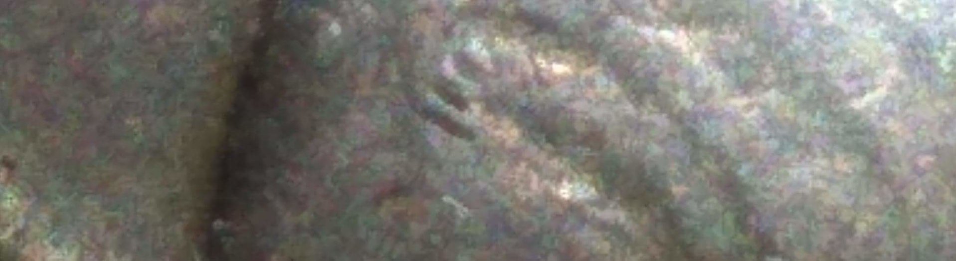 received_250611465849974.jpeg