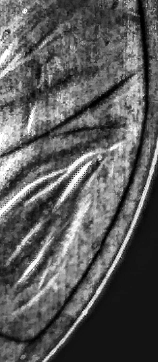 received_316517766171796.jpeg