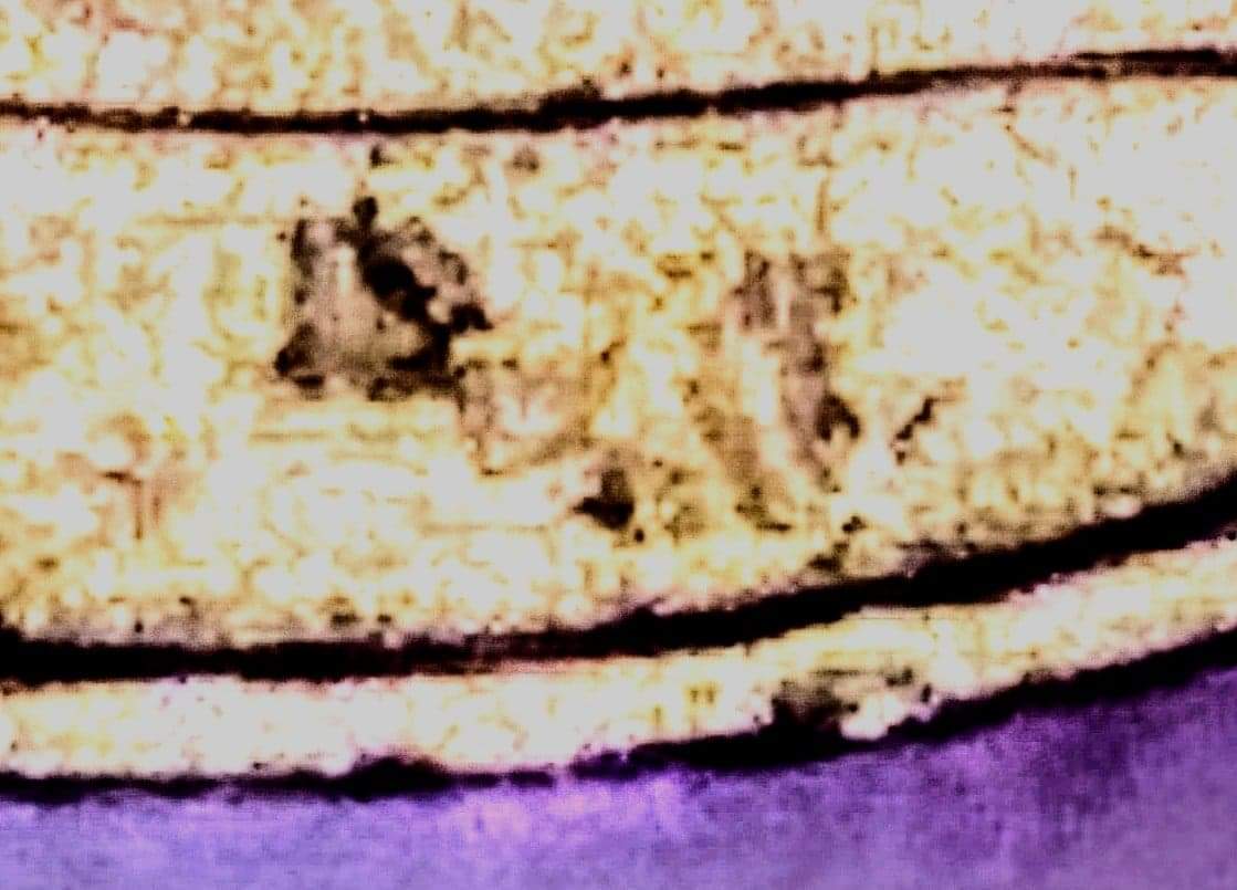 received_593314454859119.jpeg