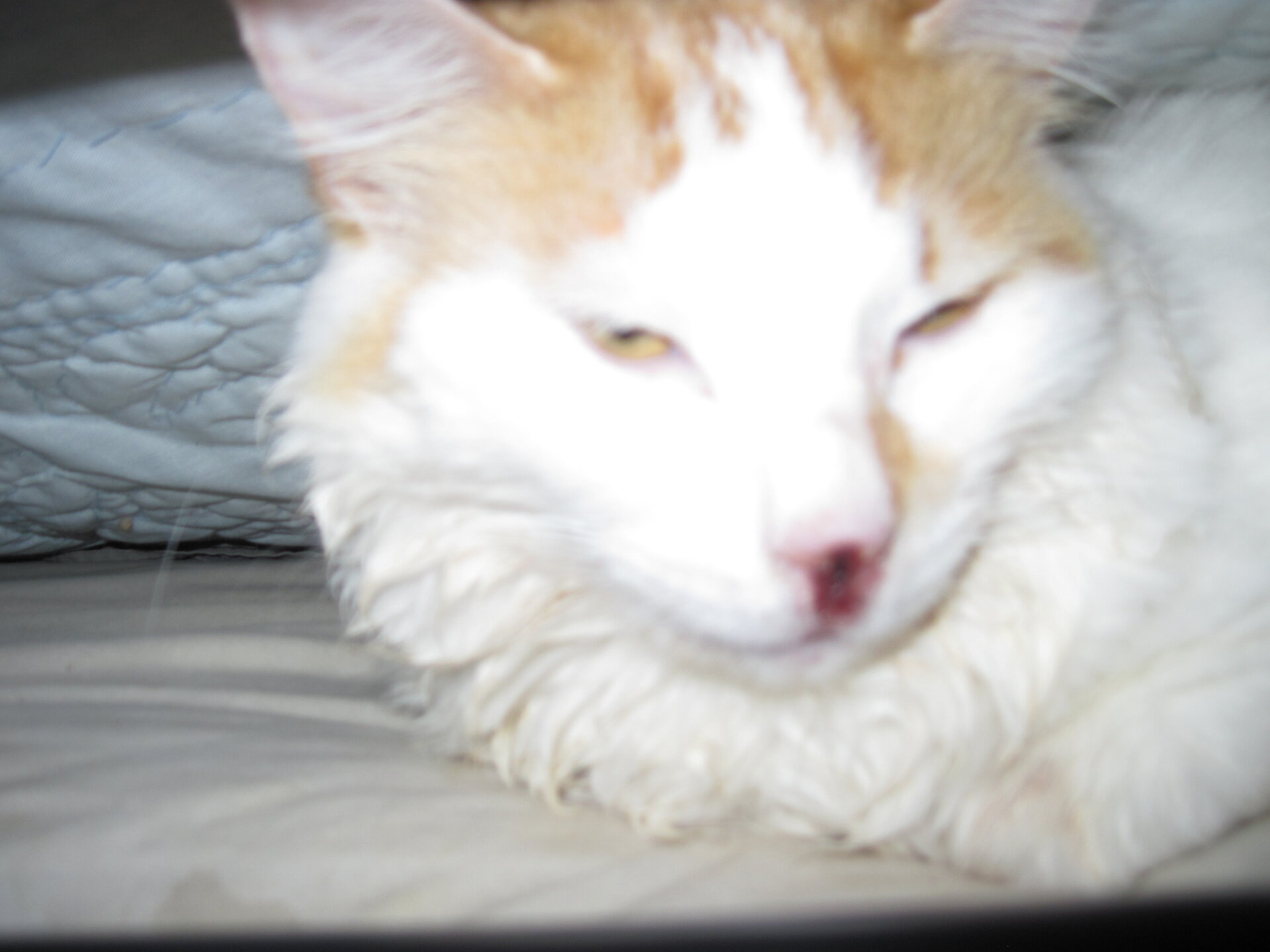 recovering Kbaby 002.JPG