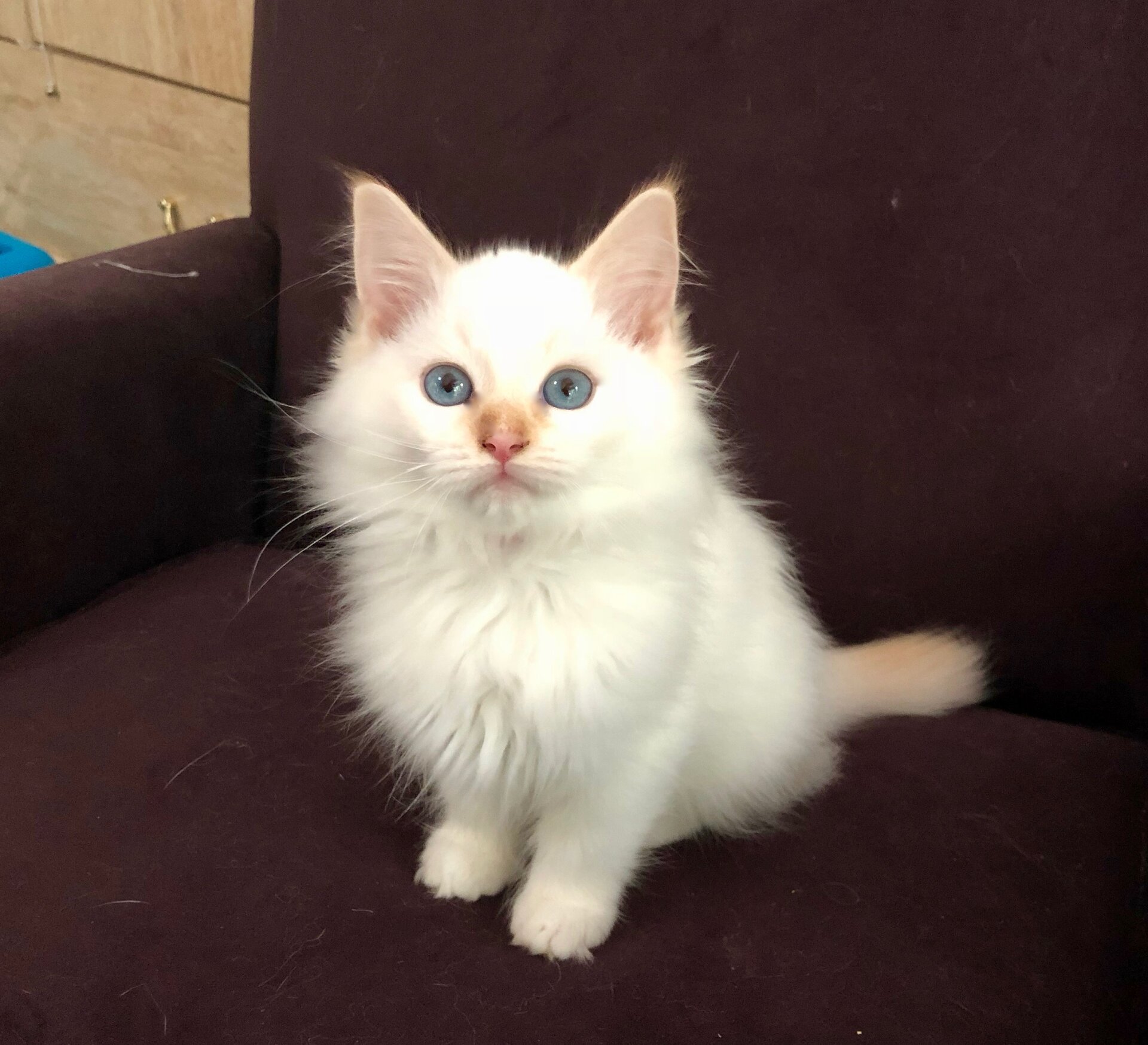 Regina 3 mo old 2.jpg
