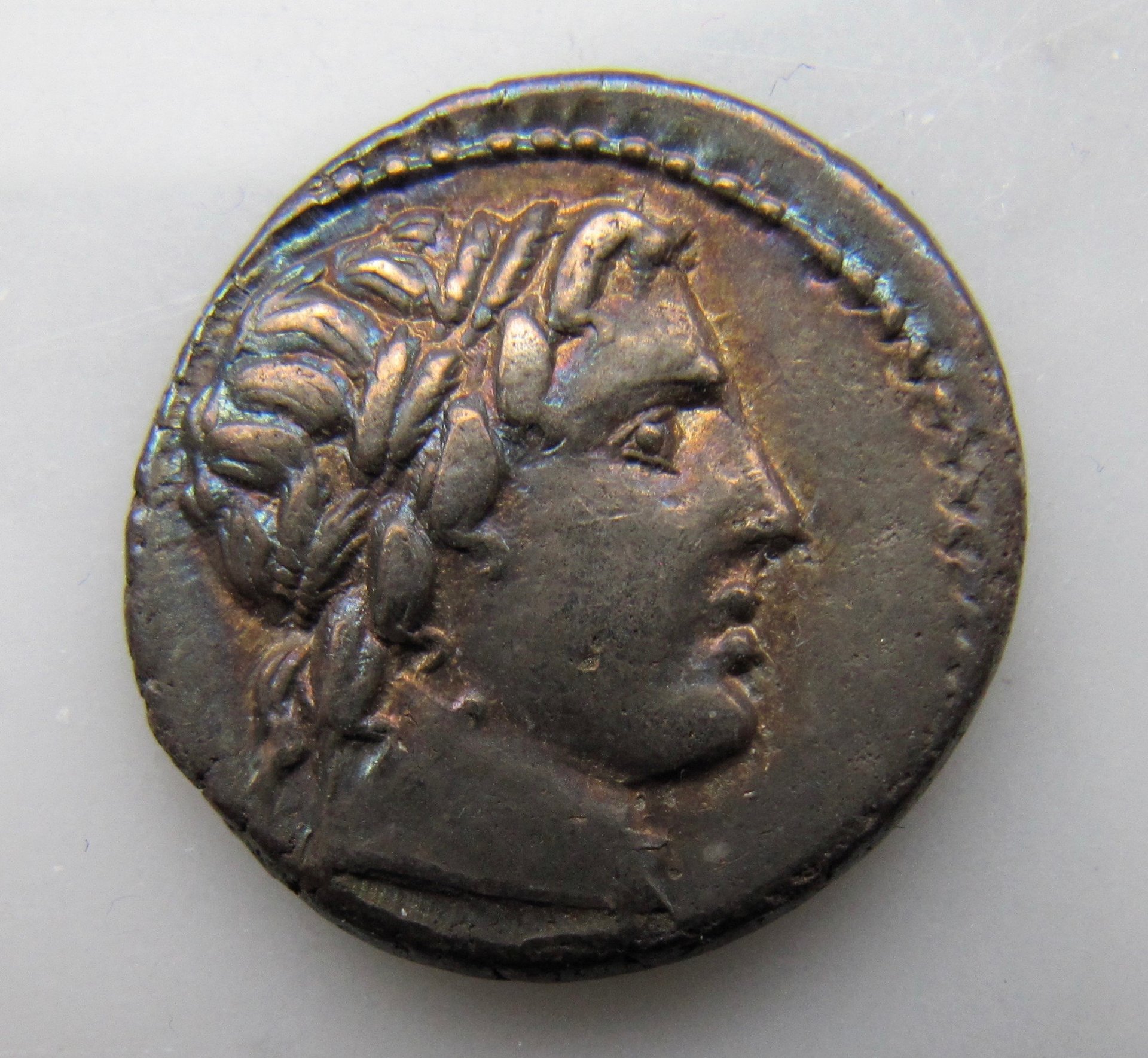 Republican Denarius 86 BC OBV - 1.jpg