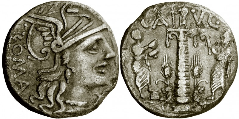 Republik_15.jpg