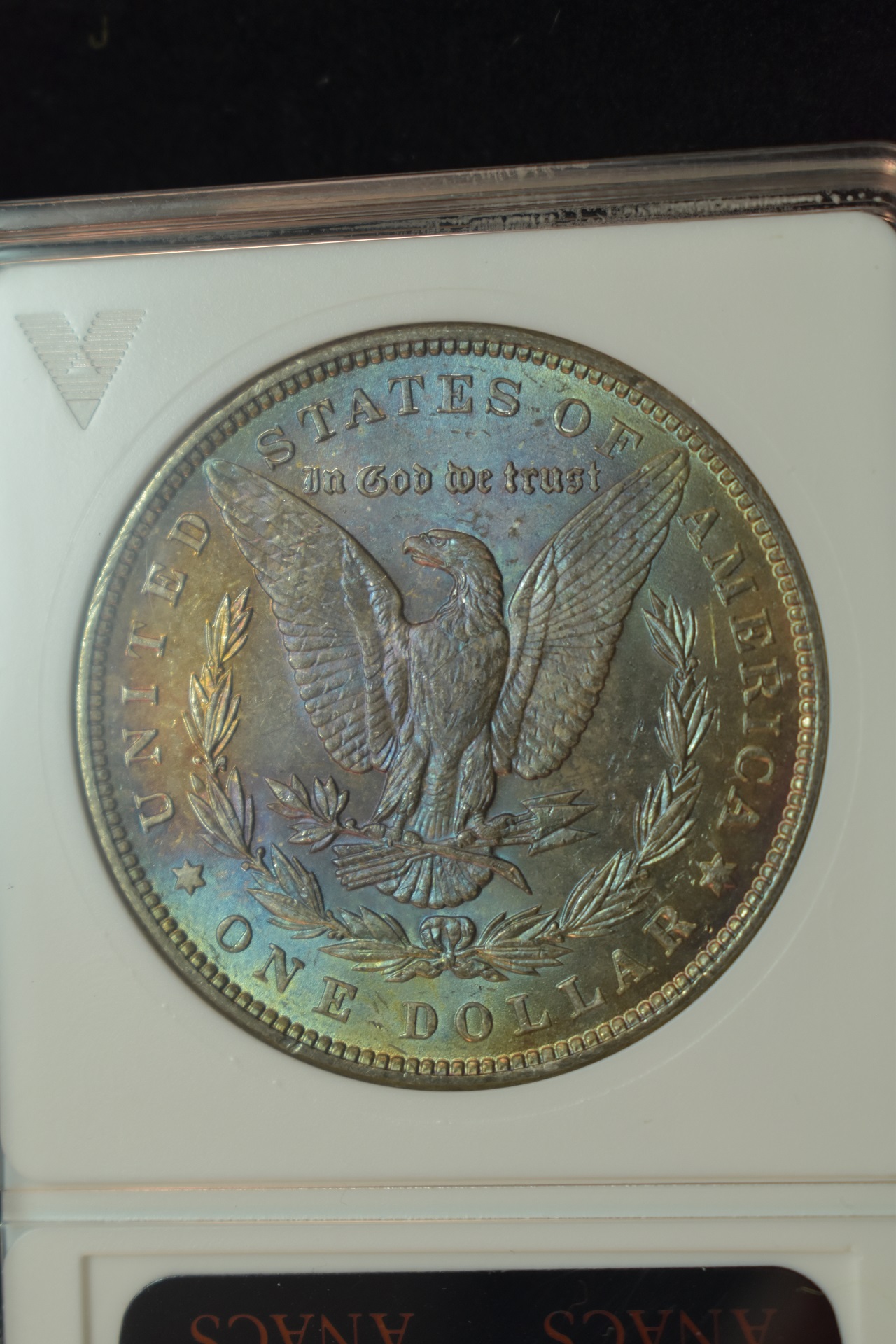 resize4.jpg