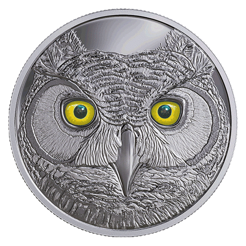 rev-570__THE_GREAT_HORNED_OWL_-_IN_THE_EYES__28158.1506571300.gif