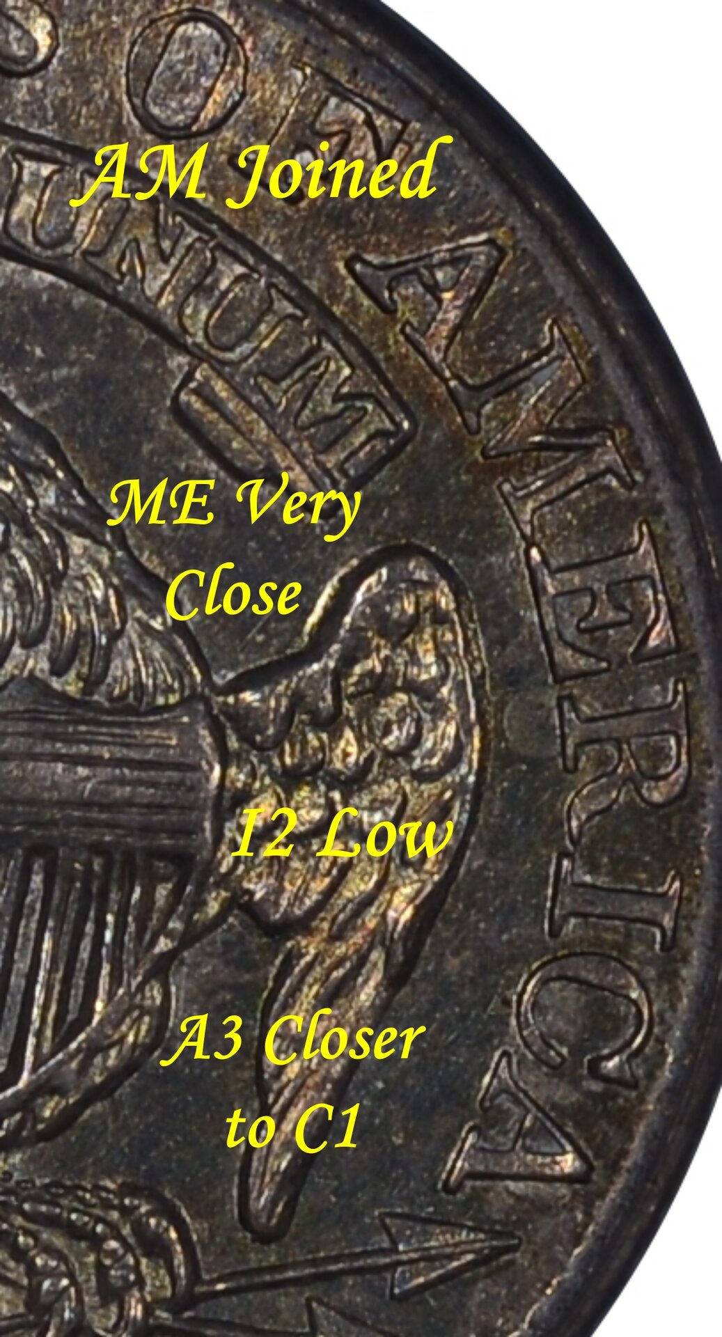 Rev-AM-ME-I2-A3C1.jpg