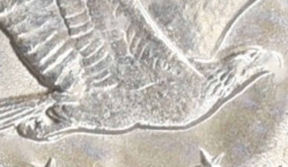 Rev-Eagle.jpg