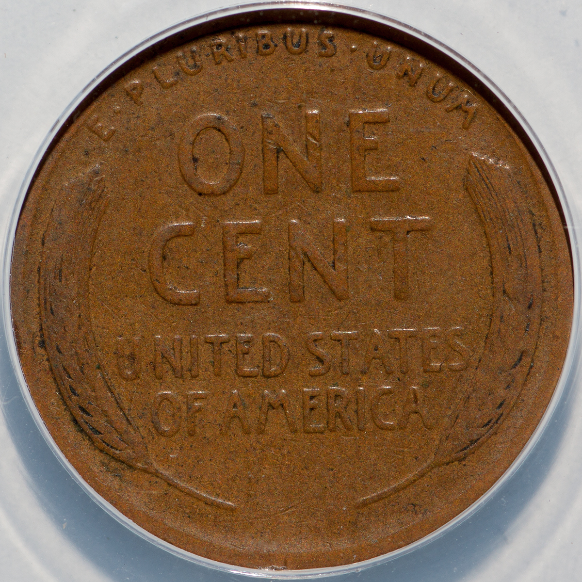 REV-in-slab-1200.jpg