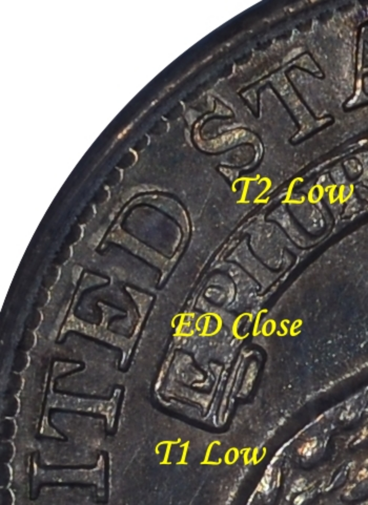 Rev-T1-ED-T2.jpg