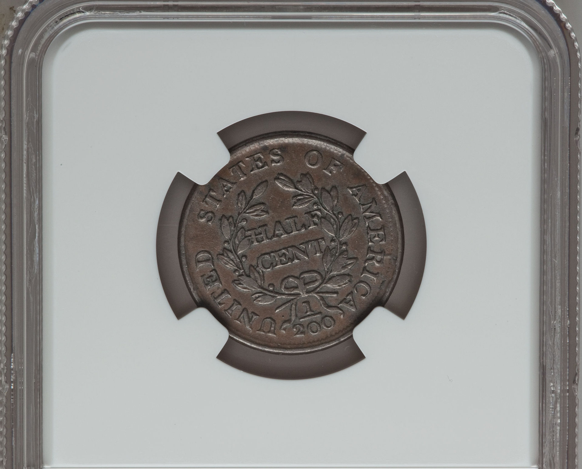 Reverse(1).jpg