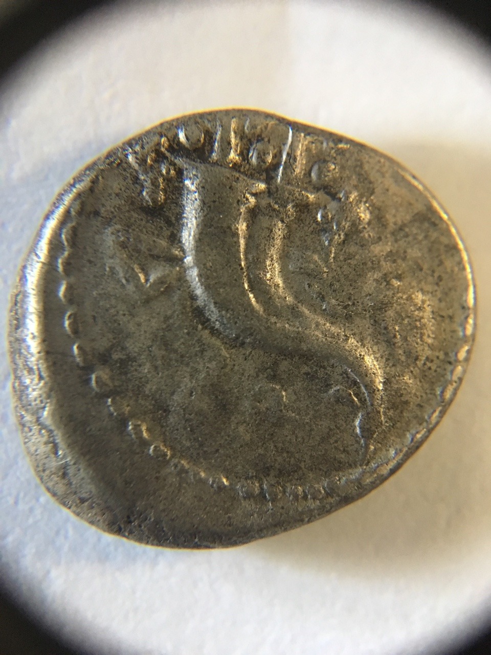 Reverse 1.jpg